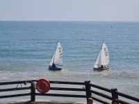 2025 SigneTs racing at the Broadstairs Open Meeting