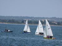 2025 SigneTs racing at the Stone Nationals
